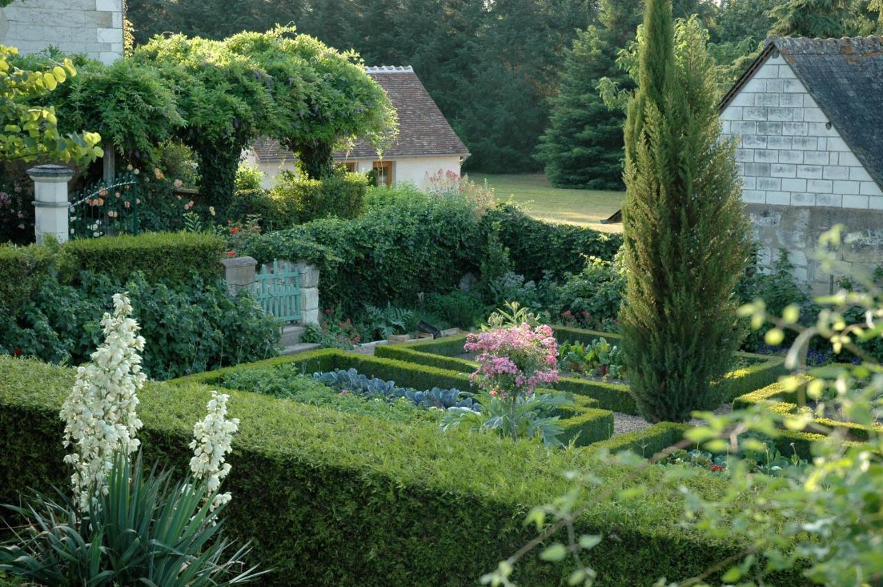 Le Chat Courant Villandry Exterior foto