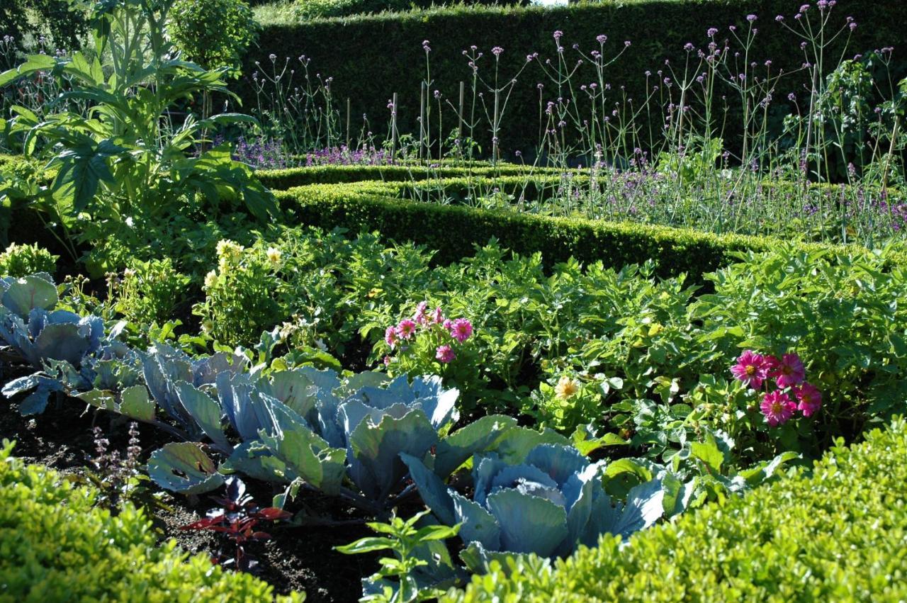 Le Chat Courant Villandry Exterior foto